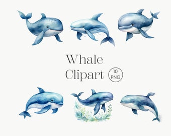 Watercolor Whale, Whale Clipart, Nursery Decor, Baby Wall Art, Cute Ocean Animals Whale PNG Whale Bundle Whale Art Boho Whale Card Making