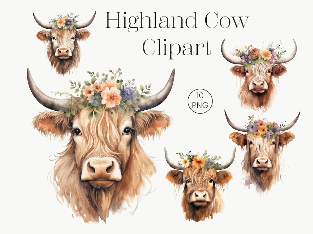 Watercolor Highland Cow Clipart | Floral Cow PNG (digital Download) - Etsy