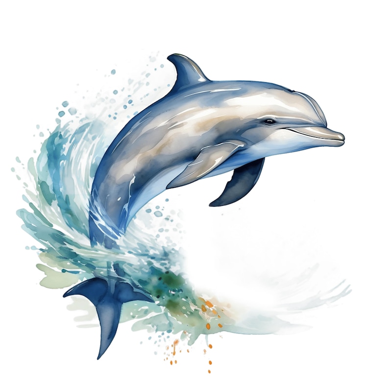 Watercolor Dolphin Clipart | Sea Animal Art (digital Download) - Etsy