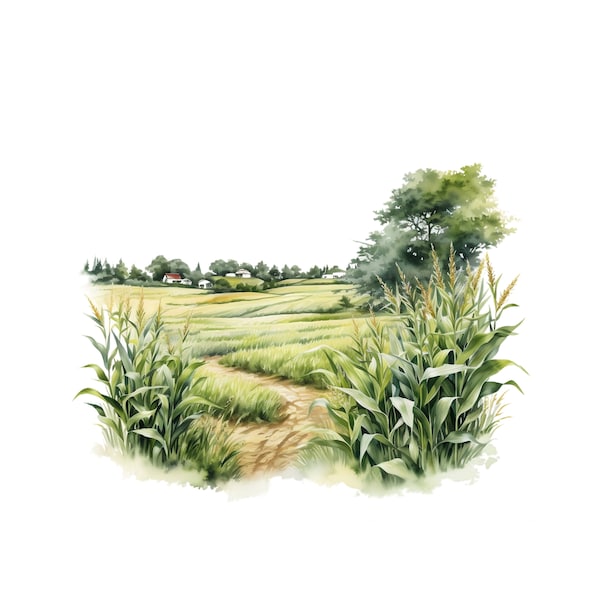 Corn Field Clipart | 10 JPG | Farm Landscape Watercolor Corn Field Landscape Grass Clipart Summer Clipart Watercolor Commercial Licence