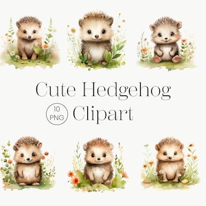 Mignon hérisson Clipart, 10 PNG de haute qualité, Animal des bois, Décor de baby shower, Art de la crèche, Téléchargement numérique Aquarelle Hérisson