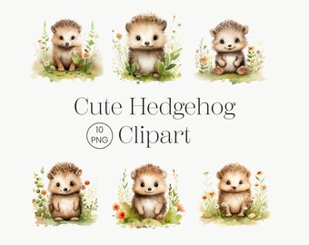 Watercolor Hedgehog Clipart, Woodland Animals, Nursery Art (Digital Download)