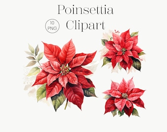 Christmas Poinsettia Clipart Winter Holiday Graphic Watercolor Red Flowers Clipart Bundle Clip Art Bundle Christmas Decoration Crafts