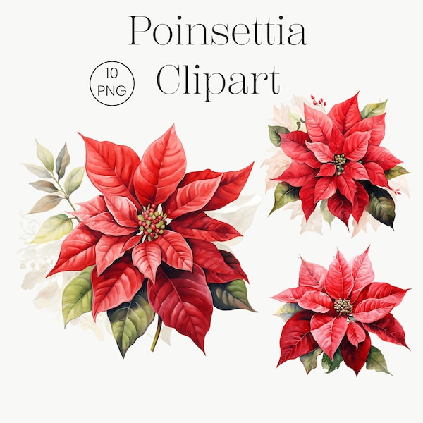 Christmas Poinsettia Clipart Winter Holiday Graphic Watercolor Red Flowers Clipart Bundle Clip Art Bundle Christmas Decoration Crafts