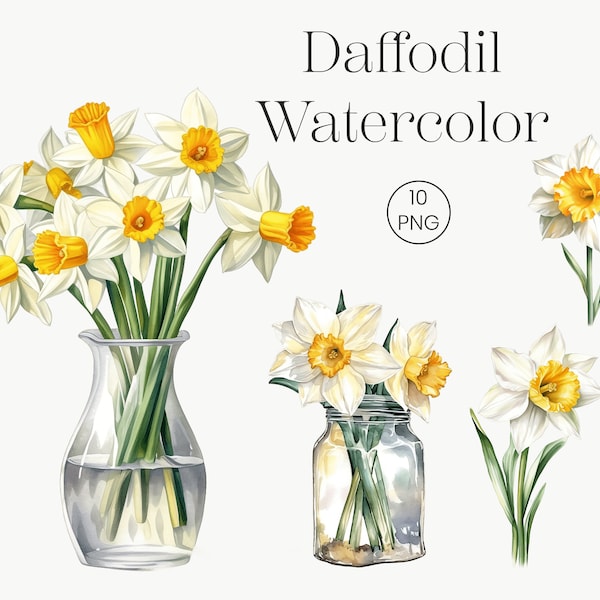 Daffodil Flower Clipart Narcissus 10 Transparent Clipart | Yellow Flowers, Watercolor Daffodil Clipart, Daffodil Bouquet, Floral Clipart