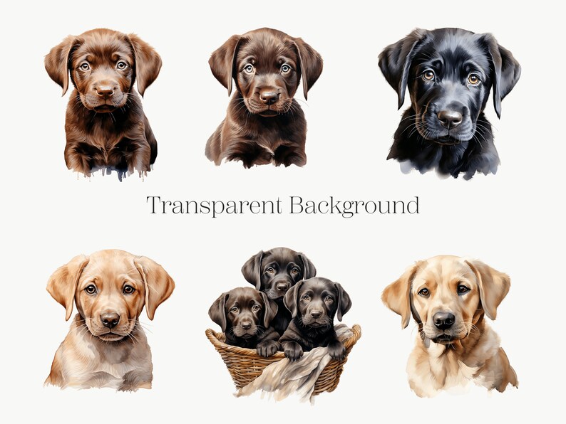 Watercolor Labrador Puppy Clipart | Cute Dog PNG (10 Files) - Etsy