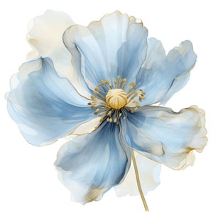 May include: A watercolor illustration of a large, stylized flower with delicate, translucent petals in shades of light blue and cream. The flower's center and edges are accented with gold, and it has a long, slender stem against a white background.