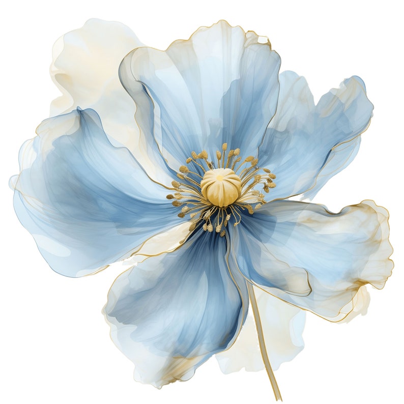 May include: A watercolor illustration of a large, stylized flower with delicate, translucent petals in shades of light blue and cream. The flower's center and edges are accented with gold, and it has a long, slender stem against a white background.
