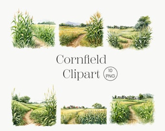 Corn Field Clipart | 10 PNG | Farm Landscape Watercolor Corn Field Landscape Grass Clipart Summer Clipart Watercolor Commercial Licence