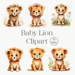 Bébé lion clipart, bébé lion PNG, aquarelle bébé lion bébé lion PNG bébé lion clipart bébé lion art bébé lion numérique animal usage Commercial