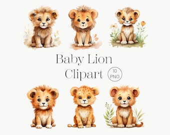 Baby Lion clipart, Baby Lion PNG, Watercolor Baby Lion Baby Lion PNG Baby Lion clipart Baby Lion art Baby Lion digital animal Commercial use