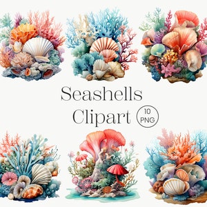 Acuarela Seashell Clipart, 10 png, Coral Reef Seashells Clipart Ocean clipart Beach Clipart Paquete de imágenes prediseñadas náuticas Scrapbook Sea shell