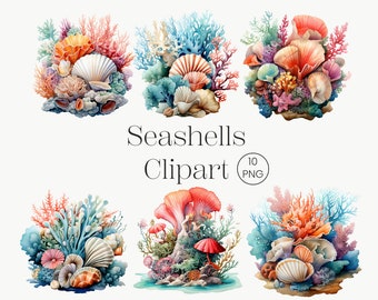 Acuarela Seashell Clipart, 10 png, Coral Reef Seashells Clipart Ocean clipart Beach Clipart Paquete de imágenes prediseñadas náuticas Scrapbook Sea shell