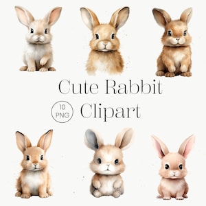 Niedliche Kaninchen Clipart, 10 hohe Qualität PNG, flauschige Hase Clipart, Kaninchen PNG, Osterhase, Frühling Clipart, Aquarell Kaninchen, Babypartys