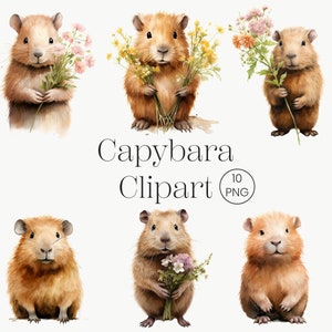 Könnte beinhalten: Sechs Aquarell-Illustrationen von Capybaras, die Blumensträuße halten. Die Capybaras sind braun und haben einen freundlichen Ausdruck. Die Blumen sind in verschiedenen Farben, darunter rosa, gelb und weiß.