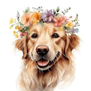 Golden Retriever cane Clipart / 10 JPG / Golden Retriever JPG Acquerello cane cane Clipart Pet Clipart sublimazione jpg Download digitale