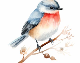 Watercolor Bird Clipart: Scandinavian Floral Birds (PNG Digital Download)