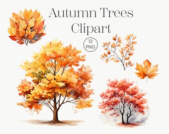 Watercolor Autumn Tree Clipart | Fall Leaves PNG (Digital Download)