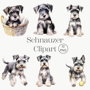 Miniature Schnauzer | 10 PNG | Cute Dog Clipart Cute Dog Clipart Dog Puppies Clipart PNG Watercolor Schnauzer Schnauzer Wall Dog Portrait