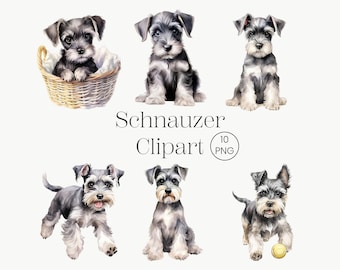 Miniature Schnauzer | 10 PNG | Cute Dog Clipart Cute Dog Clipart Dog Puppies Clipart PNG Watercolor Schnauzer Schnauzer Wall Dog Portrait