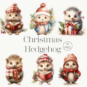 Igel Weihnachten Clipart, 10 PNG, Aquarell Weihnachtscliparts, Weihnachten Tier, Winter Feiertage, süße Tiere, druckbare Grafik