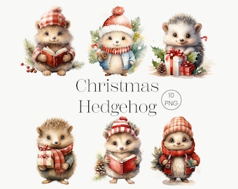 Christmas Hedgehog Clipart, 10 PNG, Watercolor Christmas Clipart, Christmas Animal, Winter Holidays, Cute Animals, Printable Graphic