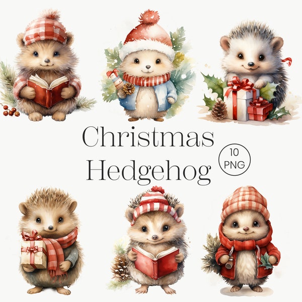 Christmas Hedgehog Clipart, 10 PNG, Watercolor Christmas Clipart, Christmas Animal, Winter Holidays, Cute Animals, Printable Graphic