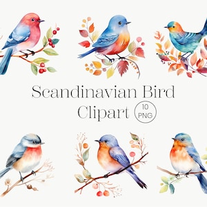 Clipart uccelli scandinavi / 10 PNG / Uccelli colorati, uccelli floreali Download digitale di alta qualità Clipart acquerello stampabile di uccelli vintage