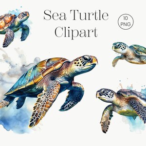 Meeresschildkröte Clipart | 10 Transparente Aquarell PNG | Meerestier Clipart, Ozean, digitaler Download, Kartenherstellung, Journaling