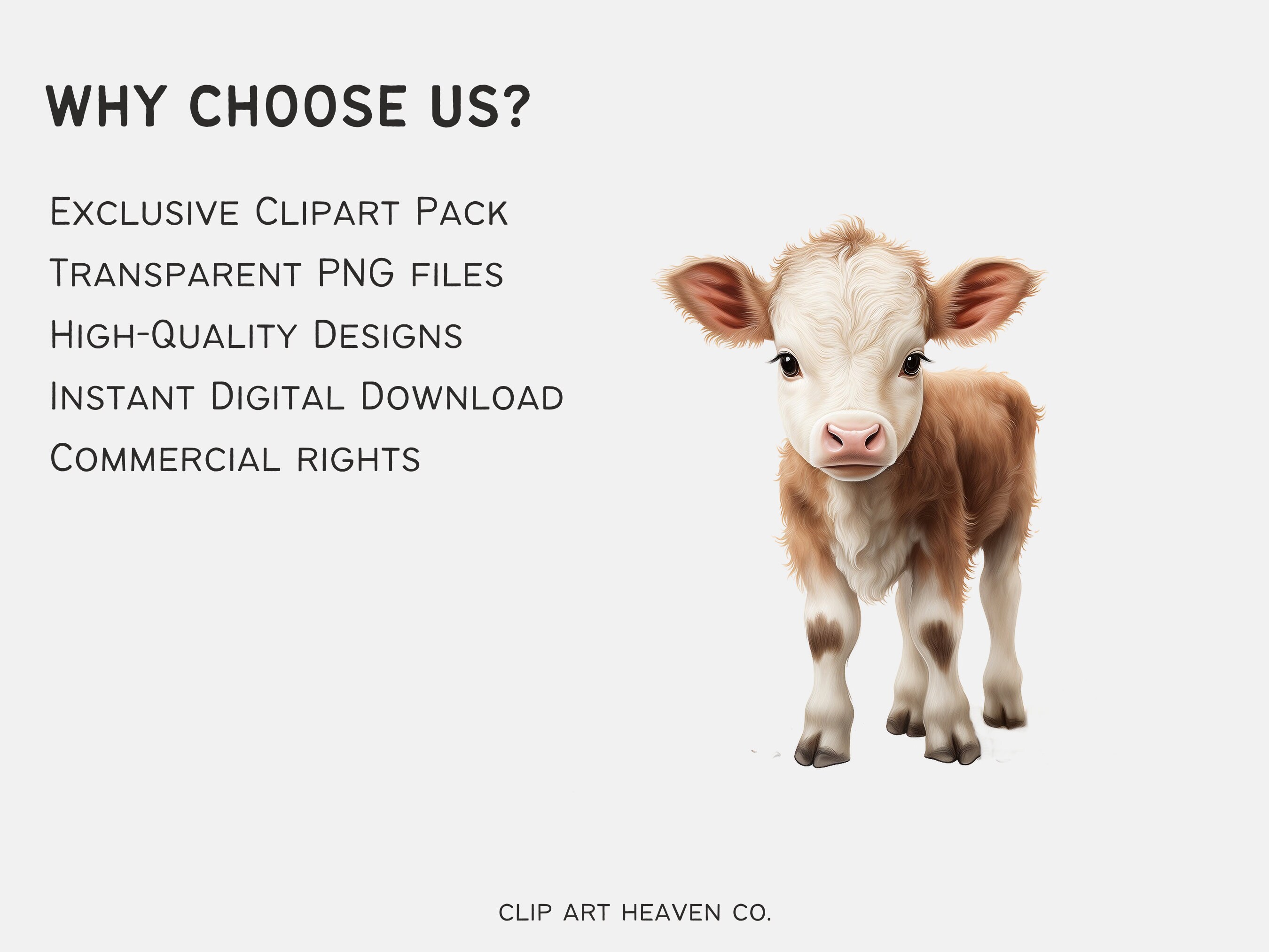 Watercolor Baby Highland Cow Clipart 10 PNG Farm Highland Cow, Cute ...