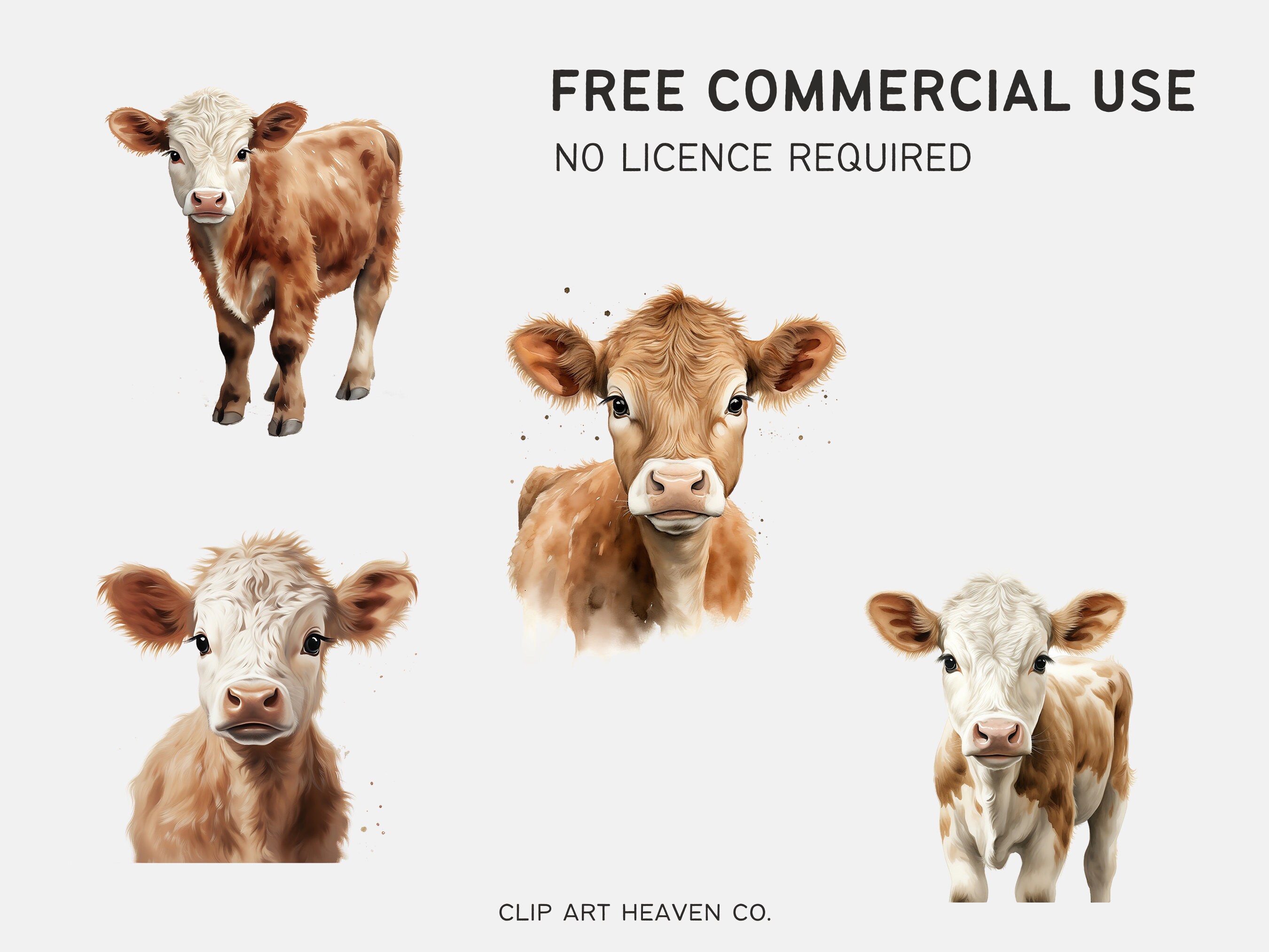 Watercolor Baby Highland Cow Clipart 10 PNG Farm Highland Cow, Cute ...