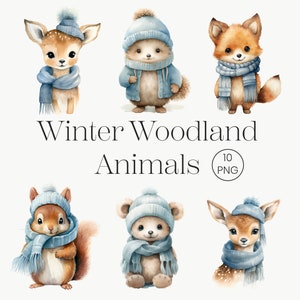 Animali della foresta, Woodland Christmas Woodland Animal Clipart Inverno Clipart Digital Download Paesaggi invernali Natale Clipart