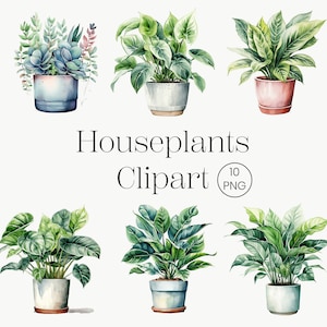 House Plant Watercolor Png | 10 Transparent PNG |  Flower Pot Png Plants clipart PNG Beautiful houseplants png Scrapbook Junk Journal