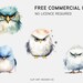 Grumpy Birds Clipart: 10 Watercolor PNG Images (digital Download) - Etsy