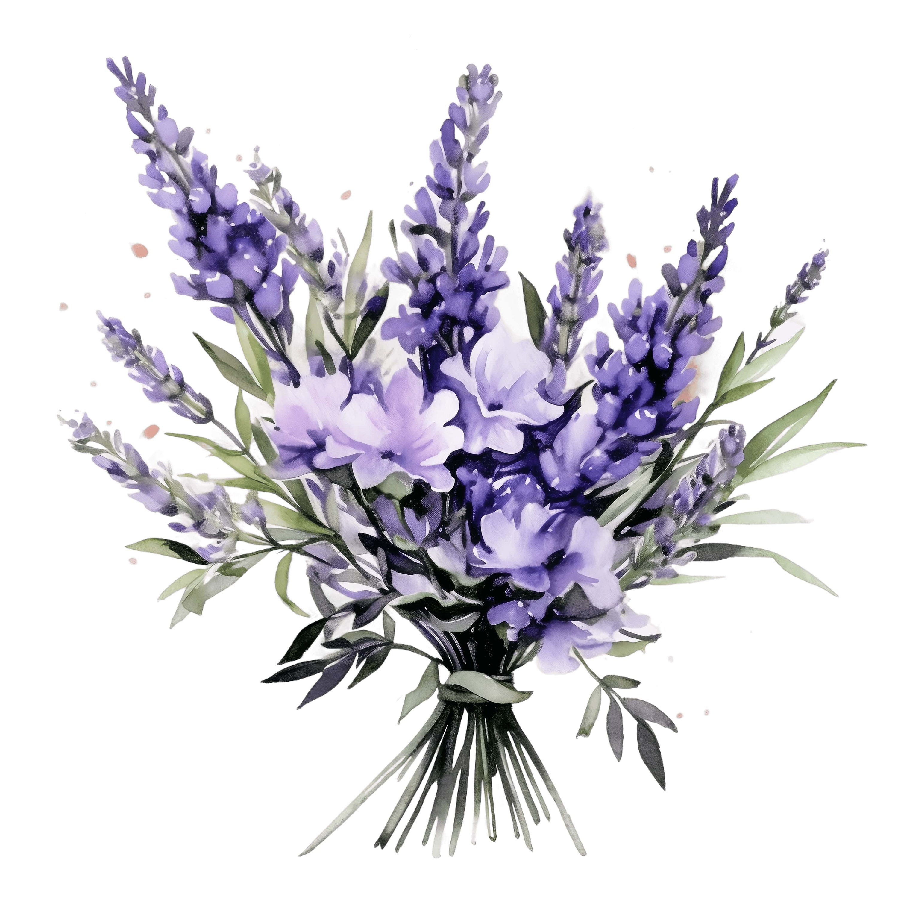 Watercolor Lavender Bouquet Clipart | Provence Floral (digital Download ...