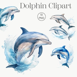 Süßer Delfin Clipart | 10 Hochwertige Transparente PNG | Niedliche und lustige Aquarell Delfin Clipart Bundle Meer Tier Clip Art