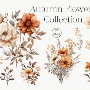 Fleurs marron naturelles 17 Clipart transparent aquarelle | Fleurs d'automne pour mariage bohème orange terre cuite à usage commercial
