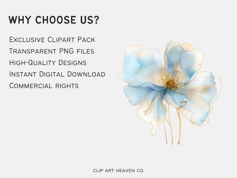 Pu&ograve; includere: Un download digitale di un pacchetto di clipart con fiori blu e dorati in stile acquerello. Il testo "WHY CHOOSE US?" &egrave; in alto nell'immagine, seguito da un elenco di funzionalit&agrave;: "EXCLUSIVE CLIPART PACK", "TRANSPARENT PNG FILES", "HIGH-QUALITY DESIGNS", "INSTANT DIGITAL DOWNLOAD", "COMMERCIAL RIGHTS". Il testo "CLIP ART HEAVEN CO." &egrave; in basso nell'immagine.