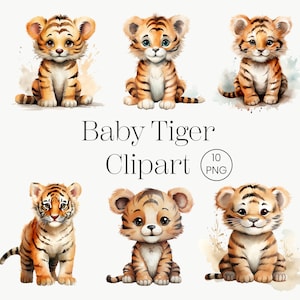 Lindo tigre acuarela / 10 PNG transparente / png tigre clipart acuarela tigre tigre PNG tigre clipart, tigre arte tigre digital comercial