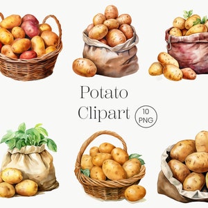 Acuarela Patata Clipart / 10 PNG Vegetal Clipart, Patata PNG Junk Journal Clipart Descarga Digital Decoración de Granja, Sublimación PNG