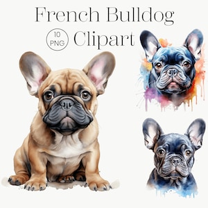 Clipart de Bulldog Francês | 10 PNG de alta qualidade | Clipart de cachorro em aquarela, retrato de cachorro colorido, imagens de cachorrinho, arte de parede de berçário, cachorro colorido