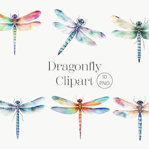 Può includere: Set di clipart ad acquerello di 6 libellule colorate con ali blu, verdi, arancioni e viola. Le libellule sono isolate su uno sfondo bianco. Dragonfly Clipart 10 PNG