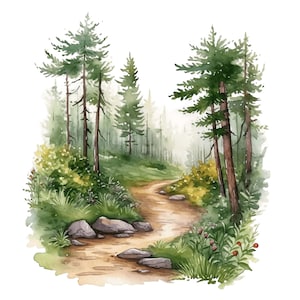 Foresta Clipart Acquerello Forest Trail Natura Clipart / 10 JPG di alta qualità / Forest Trail con Pine Tree Flowers National Park