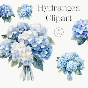 Blue Watercolor Hydrangea Clipart | 10 Transparent PNG |  Blue Flower bouquet, Dusty Blue Wedding Botanical Florals