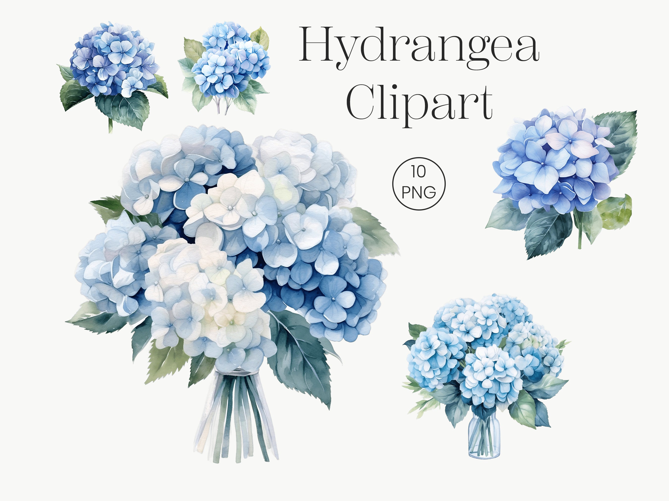 Blue Watercolor Hydrangea Clipart 10 Transparent PNG Blue - Etsy