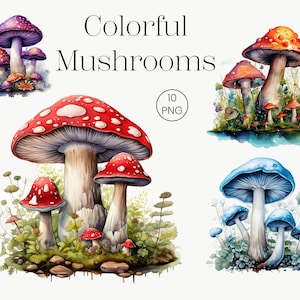 Fungo colorato Clipart / 10 PNG trasparente / fungo Clip Art Foresta arte, Fantasy clipart, Funghi Bundle PNG, Magic clipart