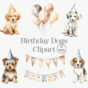 Puppy Clipart 10 PNG Birthday Puppy Party Clipart, Cute Puppy Clipart, Party Puppy PNG,  Dog Party Dog Clipart, Dog PNG, Puppies Clipart