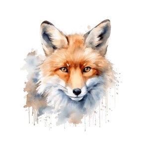 Clipart aquarelle renard | 10 fichiers JPG de haute qualité |  Clipart animaux des bois PNG renard, renard des bois, clipart, créations numériques en papier