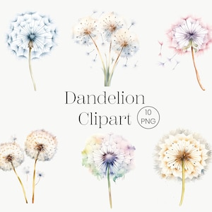 Pissenlit Clipart 10 PNG Aquarelle Pissenlit botanique, Fleur d’aquarelle imprimable, Téléchargement numérique PNG de haute qualité, Paper Craft