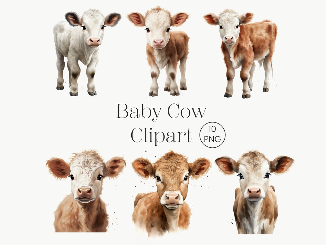 Watercolor Baby Highland Cow Clipart 10 PNG Farm Highland Cow, Cute ...